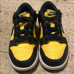 Nike Dunk Low Michigan 
Size PS 11c